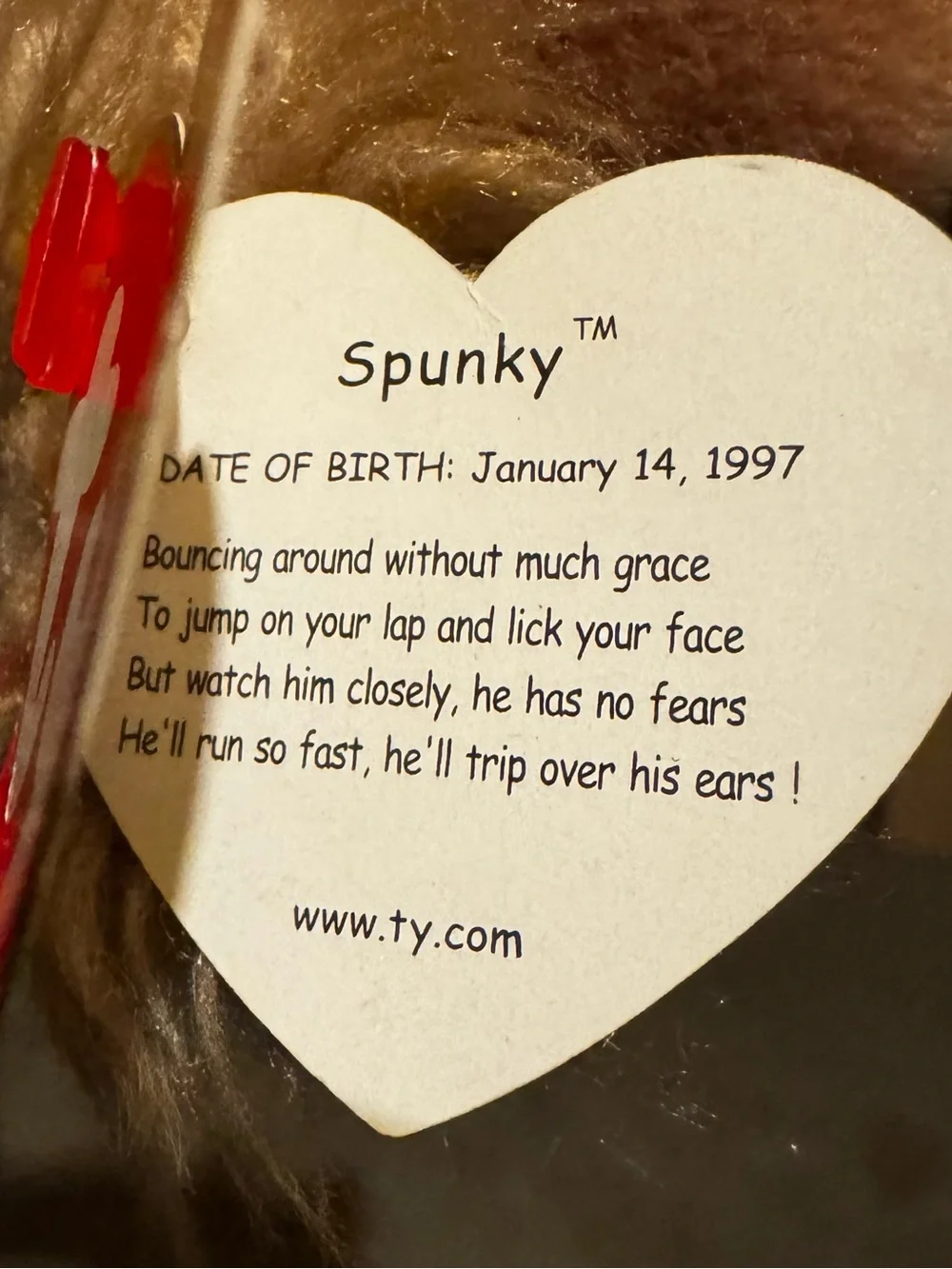 Ty Beanie Baby Spunky The Cocker Spaniel 1997 Retired